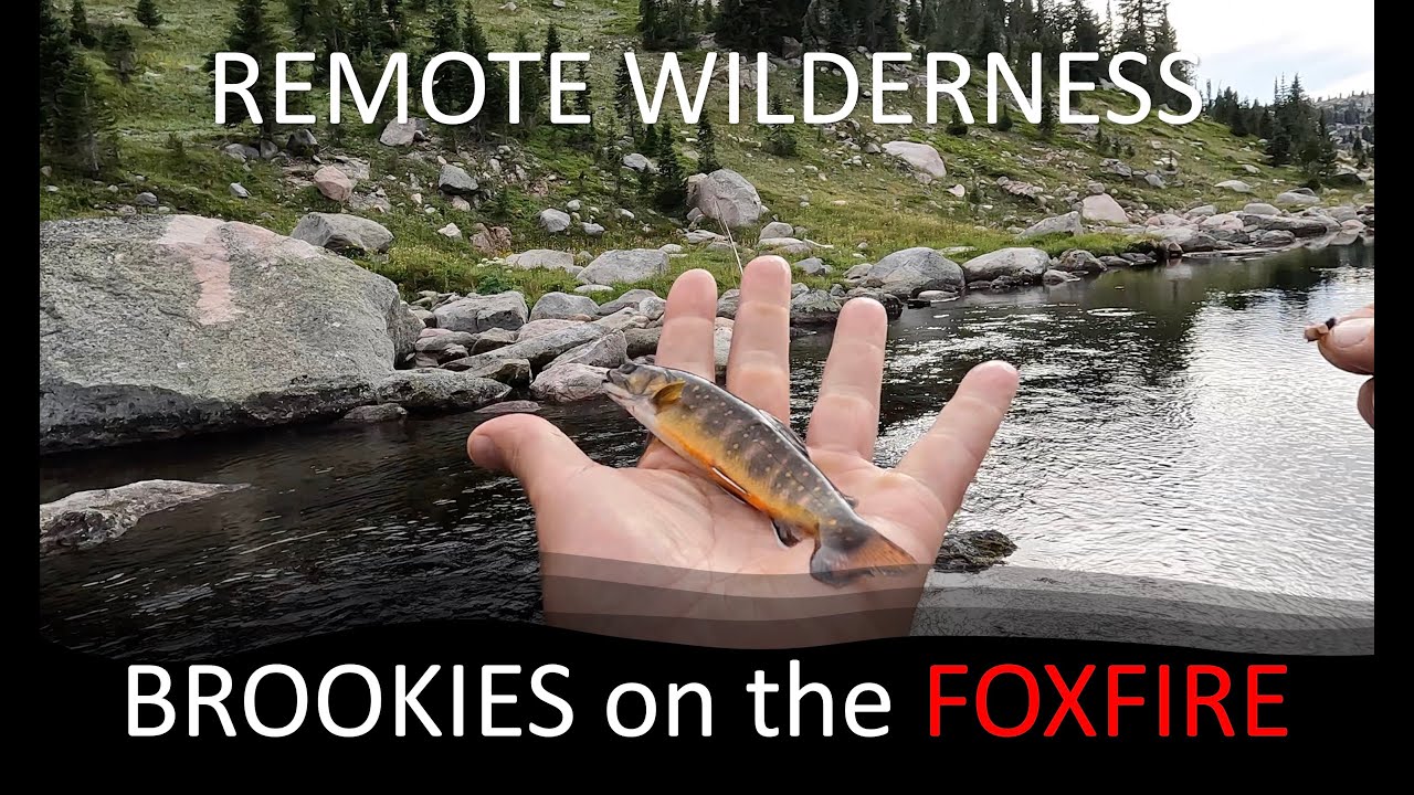 Remote wilderness brookies on the DRAGONtail FOXFIRE