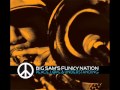 BIG SAM`S FUNKY NATION - T.M.P.