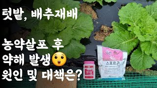농약, 약해의 원인 및 대책? / 지피지기면 백전백승 