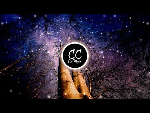 Wild Birds by Marc Torch