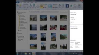 Adding a Caption to a Photo in Photo Gallery