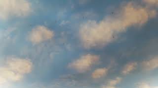 Download lagu 라디오 드라마 - 그해 여름. mp3