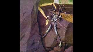 Danava - White Nights of Murder