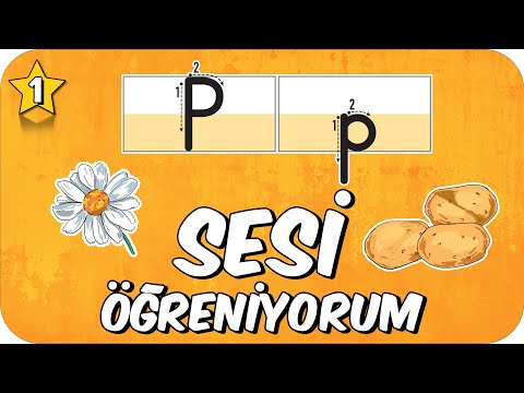 P Sesi Öğretimi 🦜 Okunuşu ve Yazılışı 🥔 1.Sınıf #2025