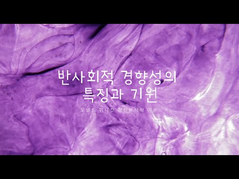 샘플 영상