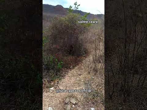 Bora fi do zoto subindo no morro da cruz de salitre ceará #morrodacruz