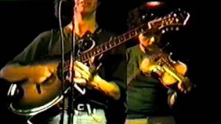 "Gator Strut" mike marshall darol anger michael hedges mike manring@the new varsity