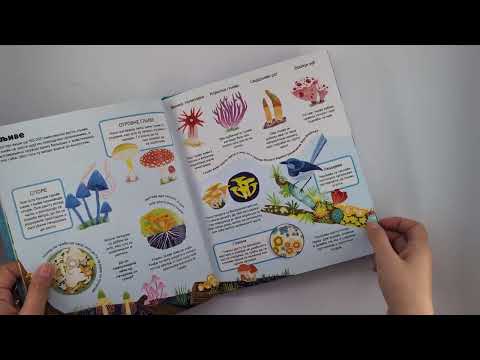 Radoznali umovi: SVET PRIRODE