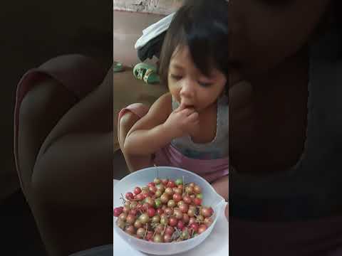 adiva makan seri(cersen)