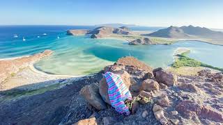 The Trip to Pirate&#39;s Cove-Tom Petty &amp; the Heartbreakers