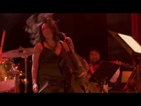 Play Video Youtube Video