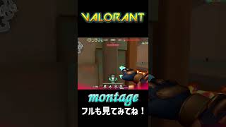 【valorant】フルも上げてるのでぜひ見てね！！ #valorant #montage #ミルクルズ #キル集 #highlights  #ヴァロラント #valorantclips #valo