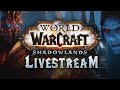 World of Warcraft Shadowlands Developer Update Livestream