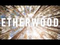 Etherwood - Away With Me 