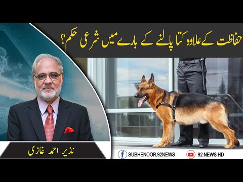 Hifazat Kay Alwa Kuta (Dog) Palny Ka Hukam? | Subh E Noor | 02 July 2020 | 92NewsHD