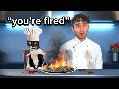 My Cat Got a Human Job...