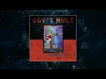 Gov't Mule - Hiding Place (Visualizer Video)