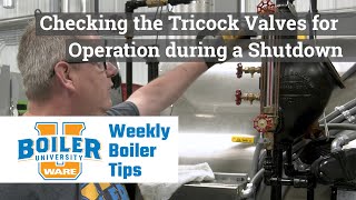 Checking the Tricock Valves for Operation during a Shutdown - Weekly Boiler Tips