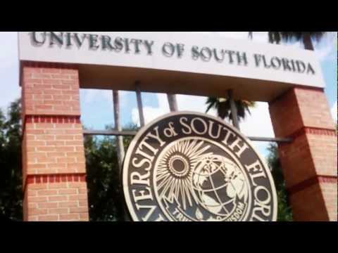 University of South Florida (USF)