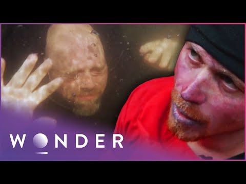 The Top Unbelievable Survival Stories | Fight To Survive Compilation | Wonder