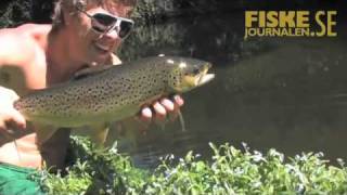 Freestyle på Nya Zeeland - New Zeeland trout fishing