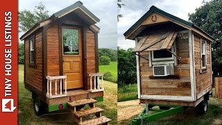 Mike Built Himself A 50 Square Feet Tiny Cabin