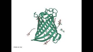 Exploring Lipids Structures