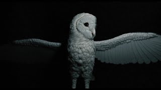 Cover art for Prince