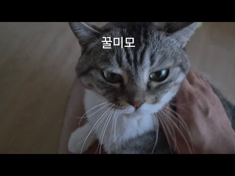 행복한 주말 예삐 꿀미모 보고가세요