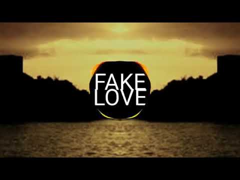 Download Lagu Dj Fake Love Ft Dream Future Mp3 dan Mp4 Terlengkap Gratis