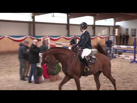 Conditus - Casall - Contender - Lord - Stamm 5421