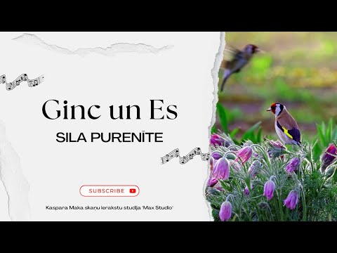 Ginc un Es - Sila purenīte