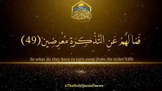 ۞فَمَا لَهُمْ عَنِ التَّذْكِرَةِ مُعْرِضِينَ۞ #theholyqurandaawa  #islam  #quran  #allah