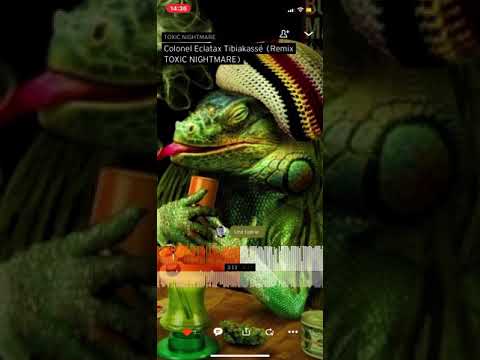 Tibiakassé - Colonel Éclatax (remix toxic nightmare)