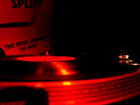 HIGH PUBLIC SOUND meets Jah Knomoh/Lioness Laylah/DDZ