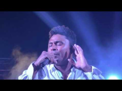 Examíname Trixid Nova