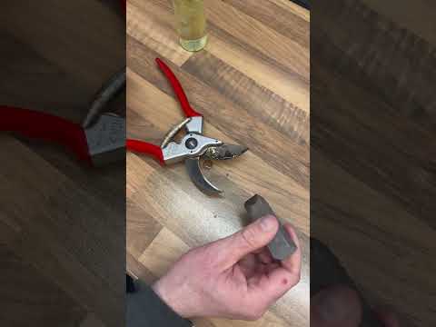 Camellia Oil x Niwaki Clean Mate = Clean Secateurs