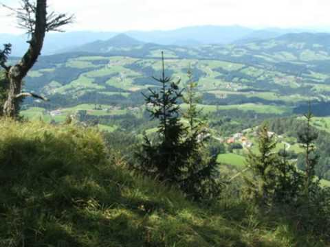 Die Stimmen aus Arzberg - In Gedanken bin i bei dir