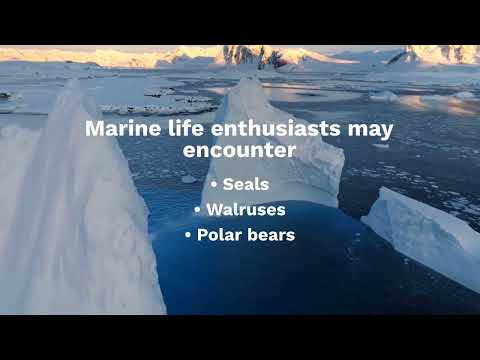 Traveling to Novaya Zemlya