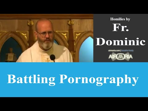 Battling Pornography - Jun 15 - Homily - Fr Dominic