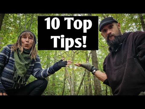 Winter Survival Tips from Full-Time Tent Dwellers! - UK Nomads 🇬🇧