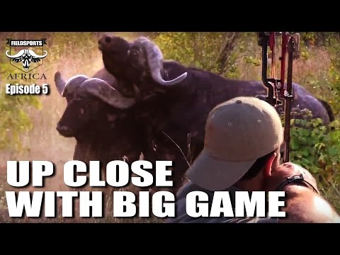 Fieldsports Africa – Up Close with Big Game Fieldsports Africa – Up Close with Big Game