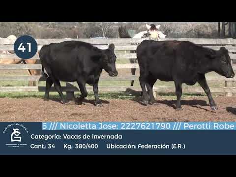 Lote Vc Inv - Federación ER