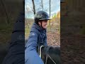 Kommt Mit Uns Ausreiten Horse Equestrian Ausreiten Vlog