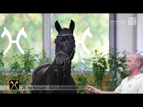 Verden Stallion Licensing 2021 - Jumping - Dec. 2-4 - No. 25 Stallion by Karajan - Asti's Amsterdam
