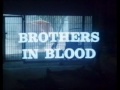 Tonino Valerii S Brothers In Blood La Sporca Insegna Del Coraggio Danish VHS Trailer