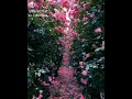 Malare Mounama Tamil Super Song With Garden And Flowers Video