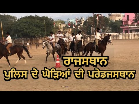 Rajasthan police horse prade, Pushkar fair, marwari horses