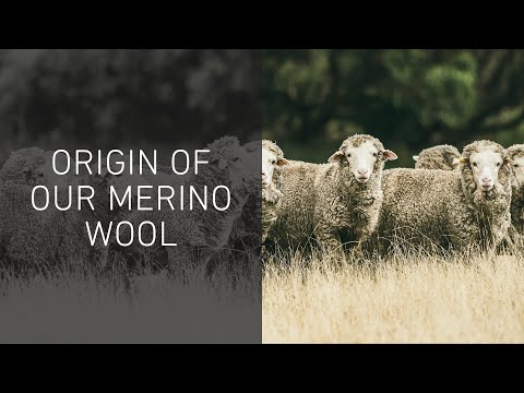 , title : 'Tasmania Trailer  – Discover the origins of our wool | ORTOVOX'