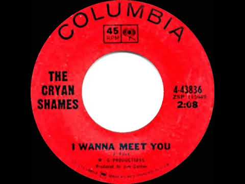 1966 Cryan Shames - I Wanna Meet You (mono 45)